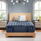New Paris Perfect Sleeper Pro mattress bedroom image