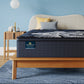 Max - Plush Pillow Top | Perfect Sleeper X