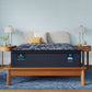 Lexton - Medium Pillow-Top | Perfect Sleeper X