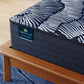 Serta Excelled Plush Perfect Sleeper X bedroom or top-panel mattress view