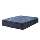 Cobalt Calm - Medium Pillow Top | Perfect Sleeper