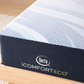 F30LTX - Firm | iComfort Eco