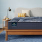 Serta Aspen Firm Perfect Sleeper X primary mattress image