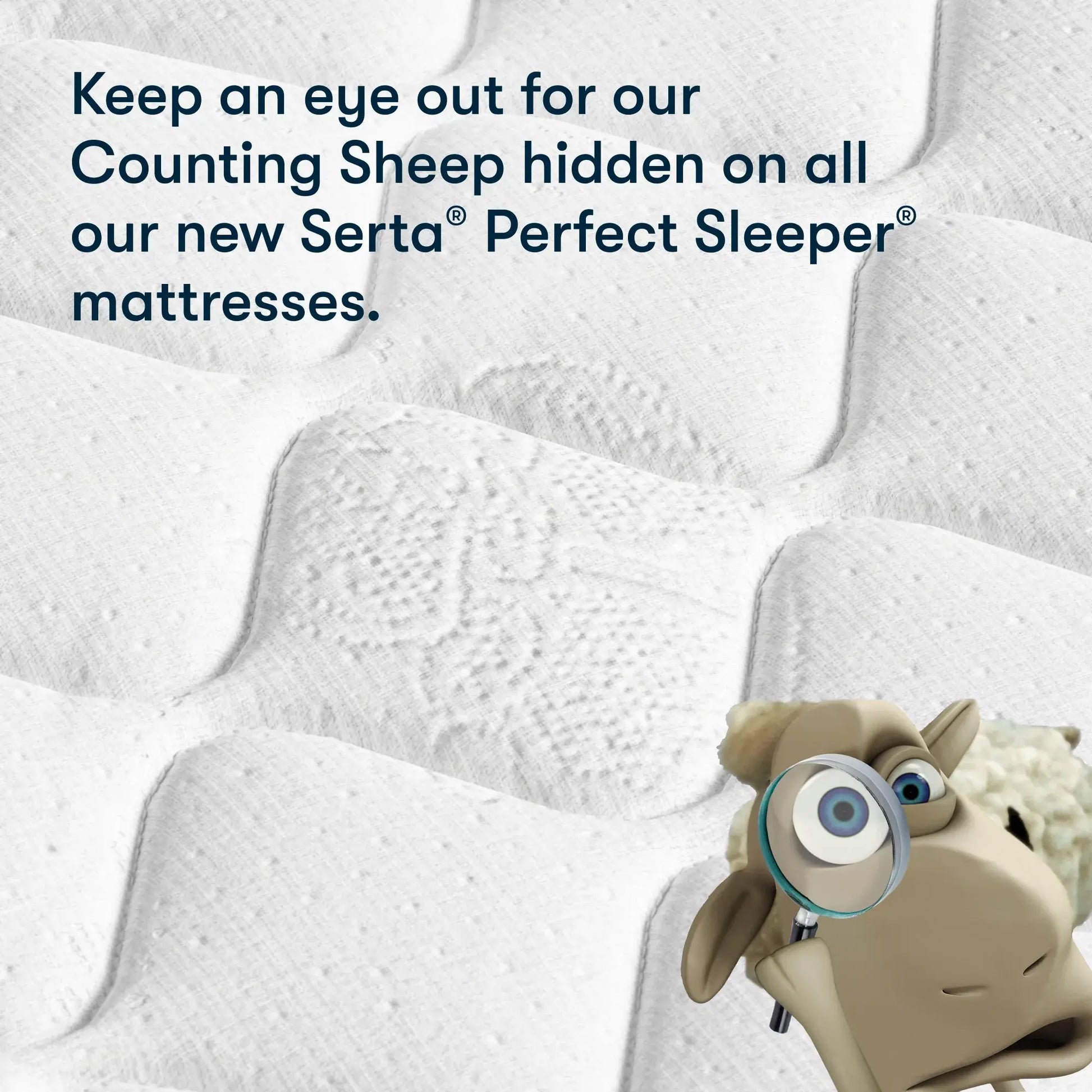 Cascade Ridge Plush - Counting Sheep sleep feature